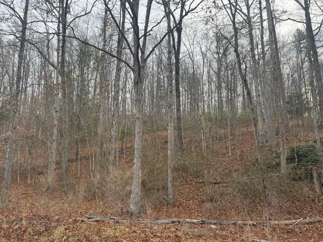 TBD Little River Rd - Photo 22