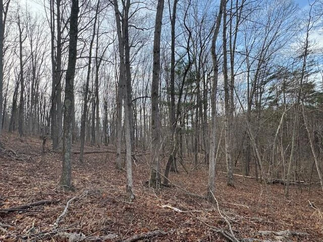 TBD Little River Rd - Photo 23