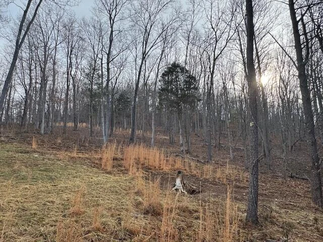 TBD Little River Rd - Photo 24