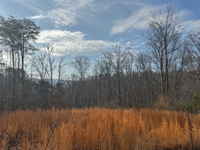 TBD Little River Rd - Photo 25