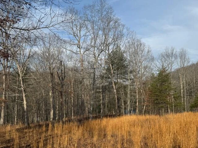 TBD Little River Rd - Photo 26