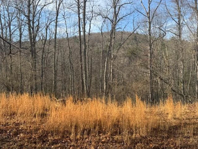TBD Little River Rd - Photo 27