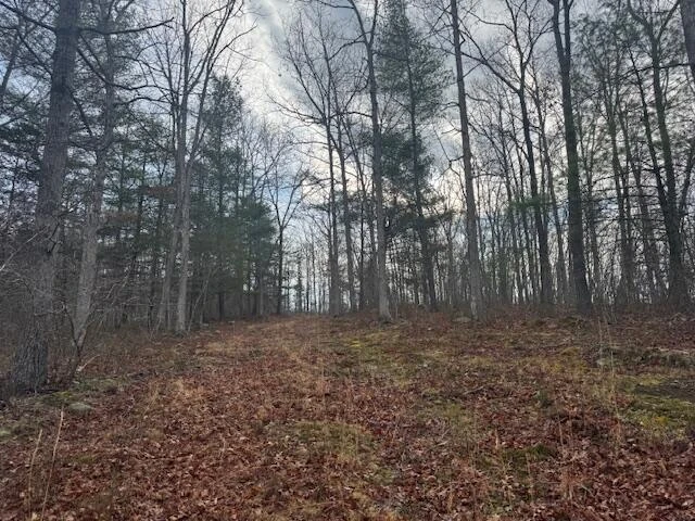 TBD Little River Rd - Photo 28