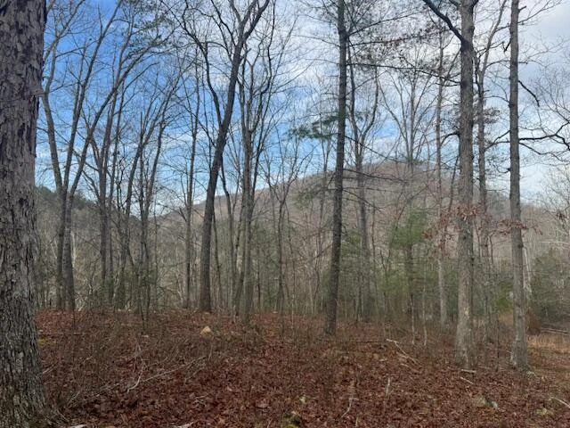 TBD Little River Rd - Photo 29