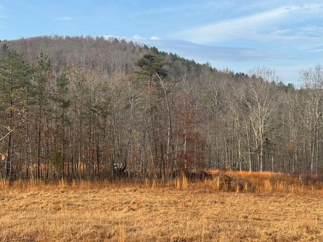 TBD Little River Rd - Photo 3