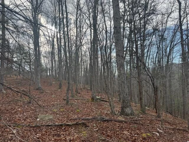 TBD Little River Rd - Photo 30
