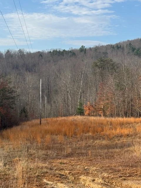 TBD Little River Rd - Photo 31
