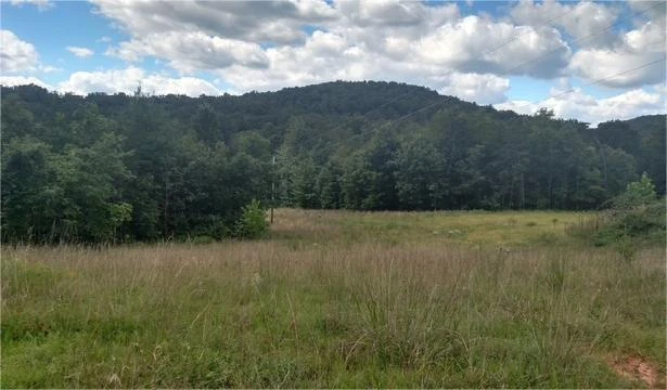 TBD Little River Rd - Photo 34