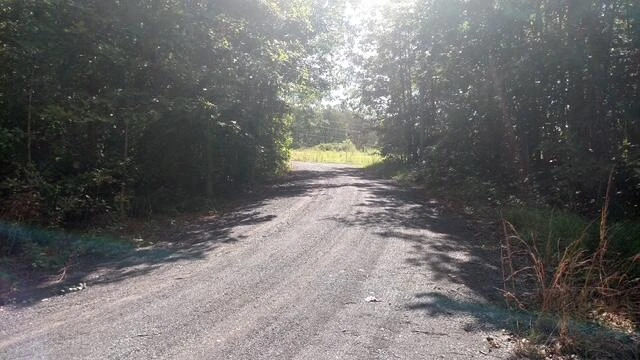 TBD Little River Rd - Photo 36