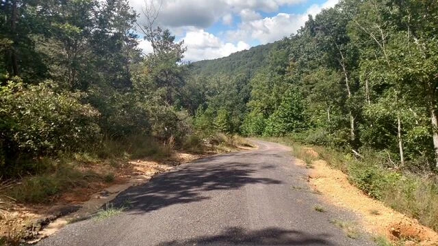 TBD Little River Rd - Photo 37