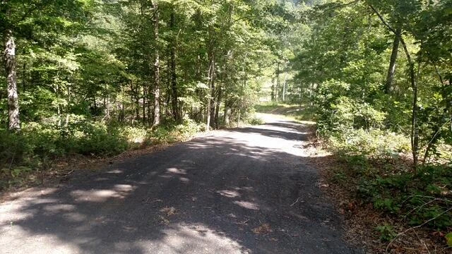 TBD Little River Rd - Photo 38