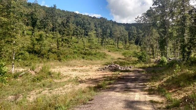 TBD Little River Rd - Photo 39