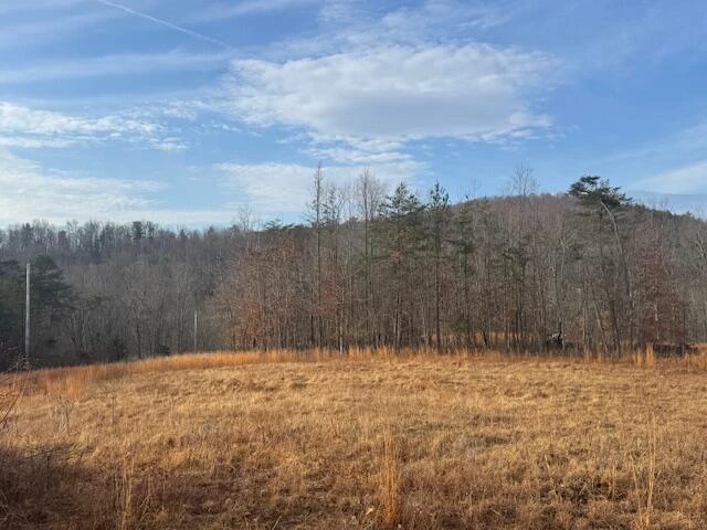 TBD Little River Rd - Photo 4
