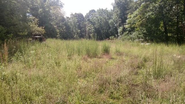 TBD Little River Rd - Photo 40