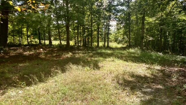 TBD Little River Rd - Photo 41