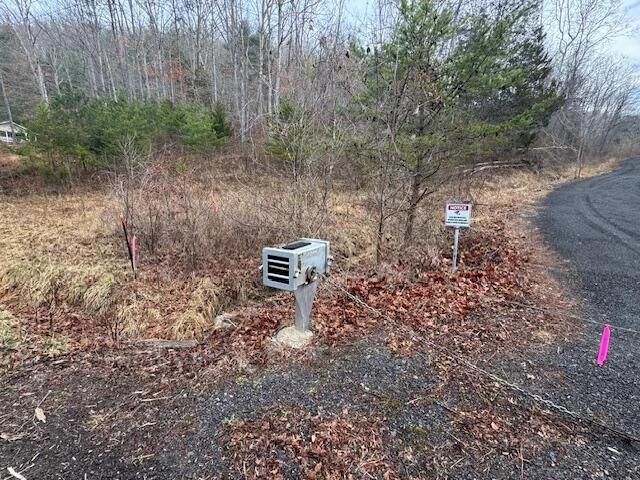 TBD Little River Rd - Photo 5