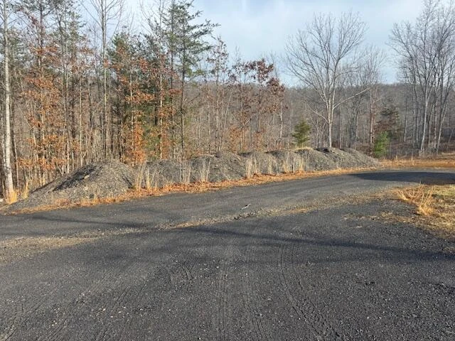 TBD Little River Rd - Photo 6