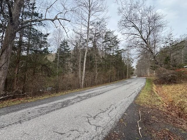 TBD Little River Rd - Photo 7