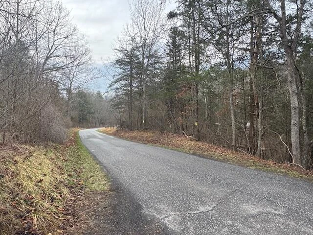 TBD Little River Rd - Photo 8