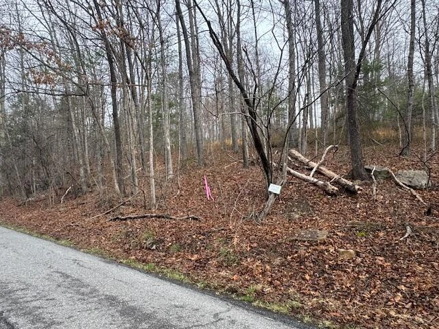 TBD Little River Rd - Photo 9