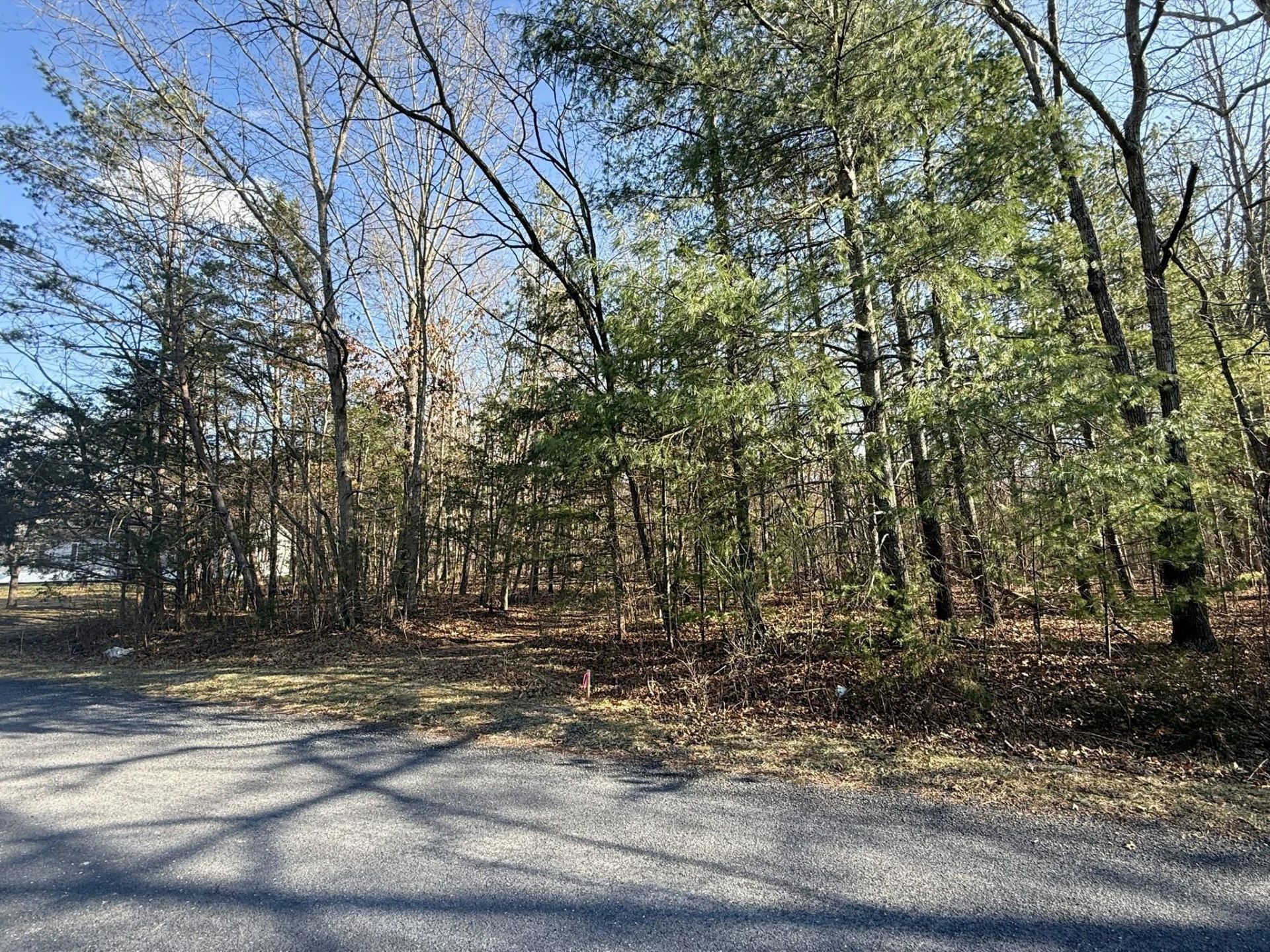 TBD Forest Chapel Ln - Photo 2