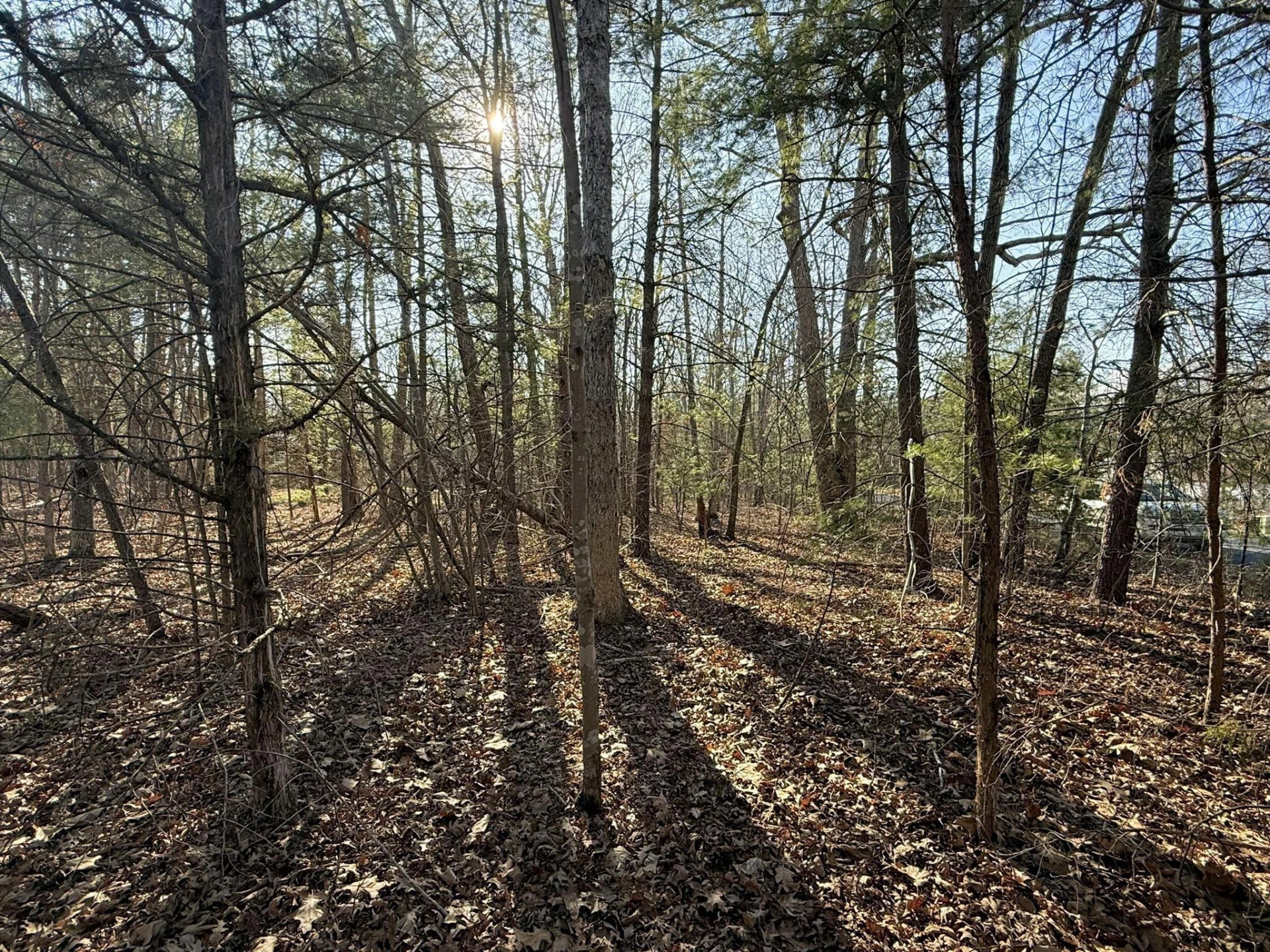 TBD Forest Chapel Ln - Photo 5