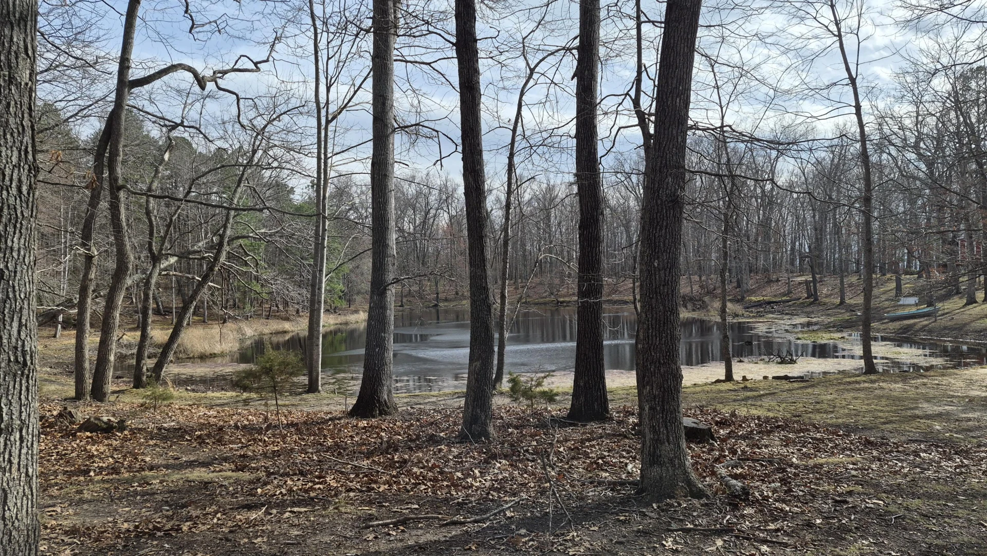 15.4 acres Stoney Run Rd - Photo 2