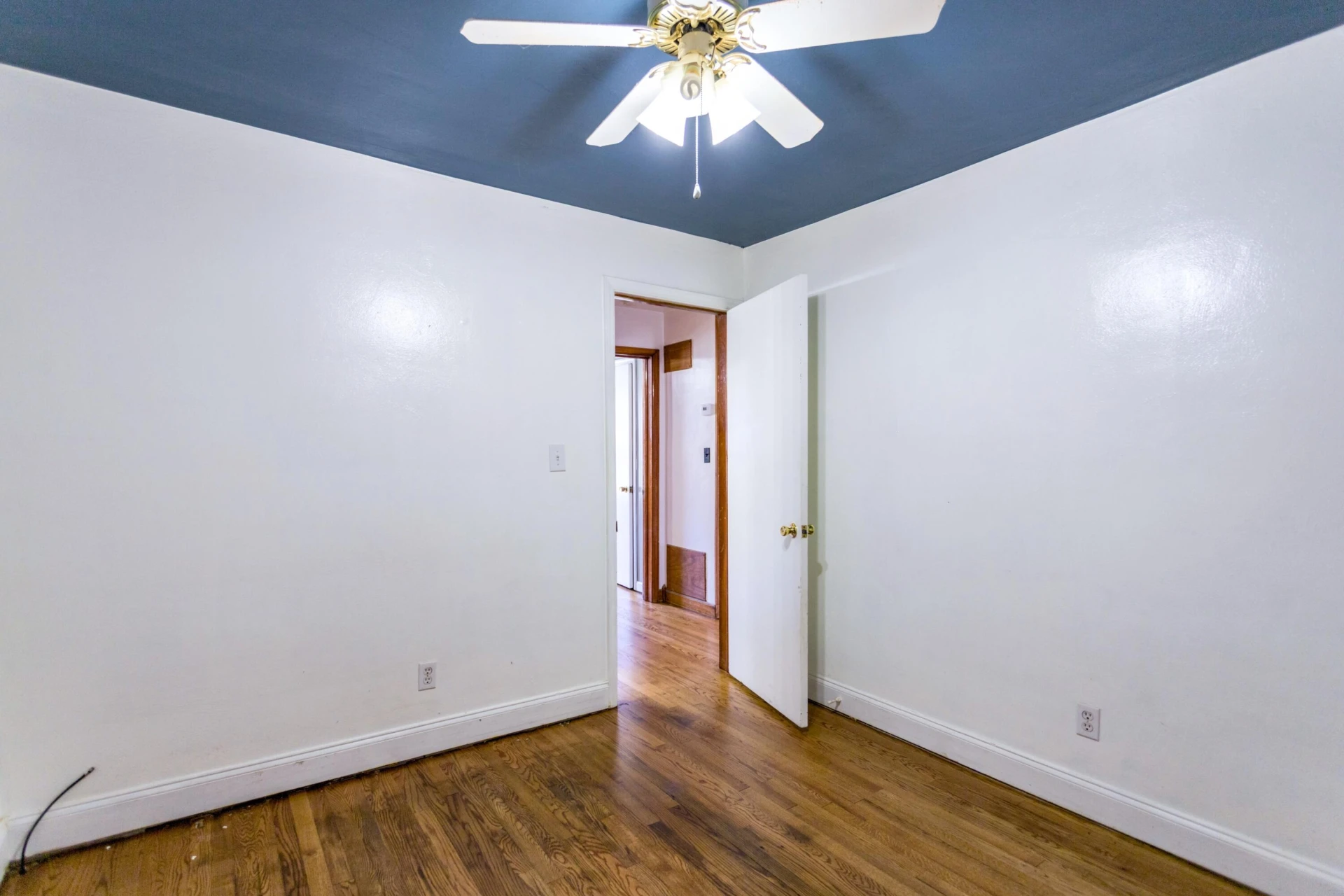 2347 Old Buena Vista Rd - Photo 14