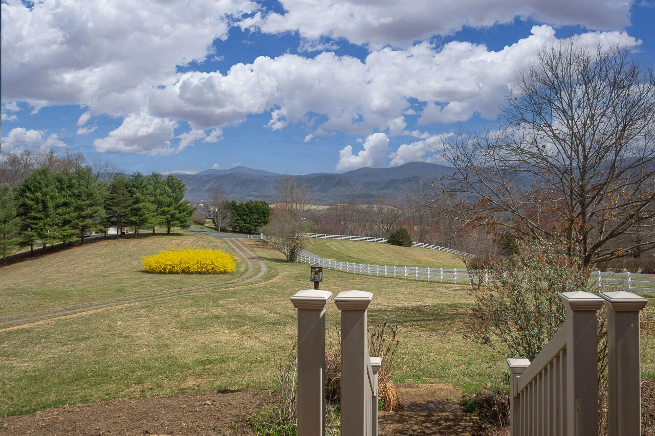 250 Forge Hill Ln - Photo 4
