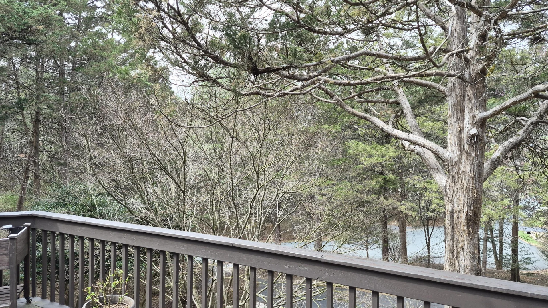 25 Edgewood Dr - Photo 41