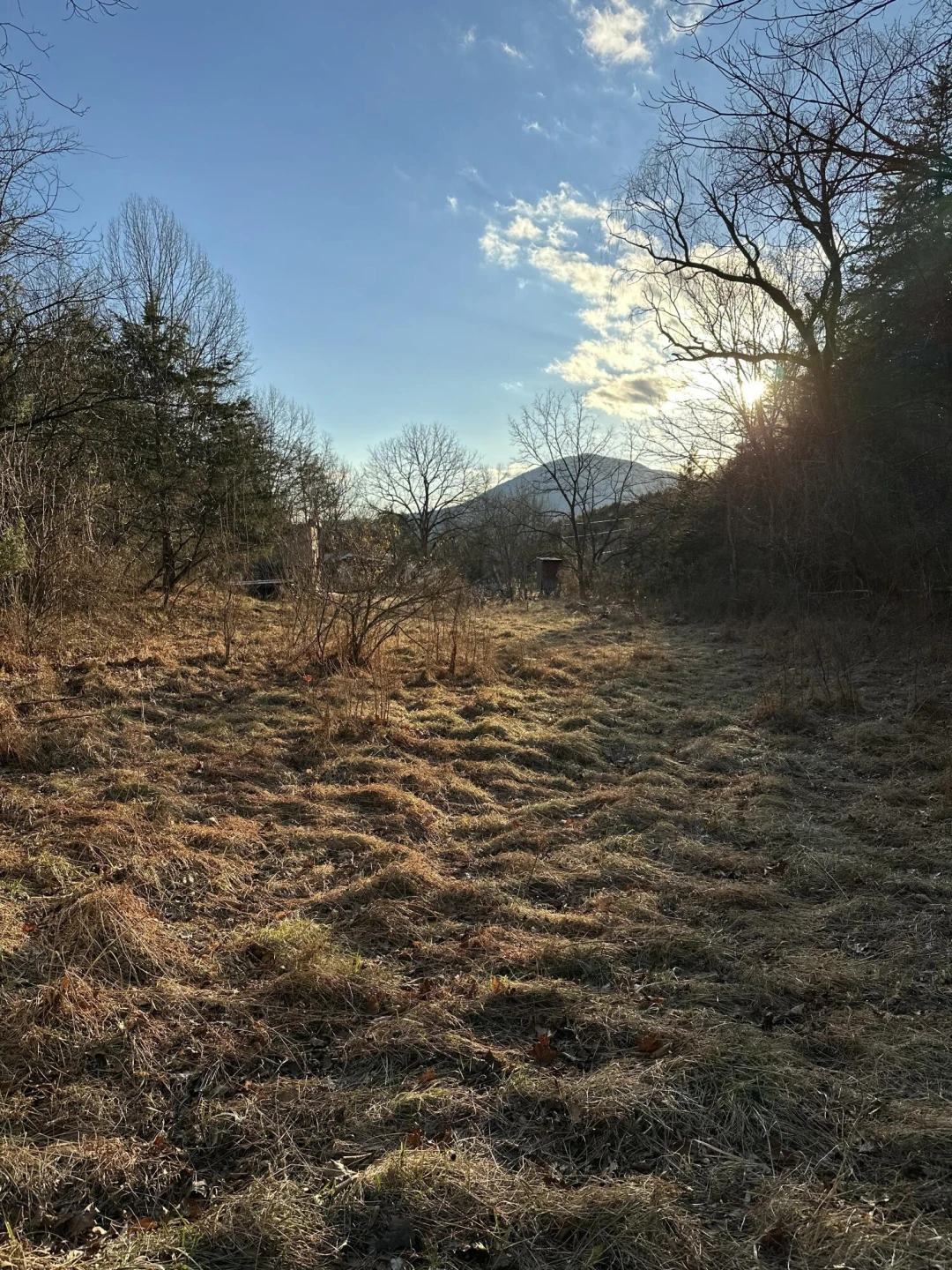 508 Sehorn Hollow Rd - Photo 2