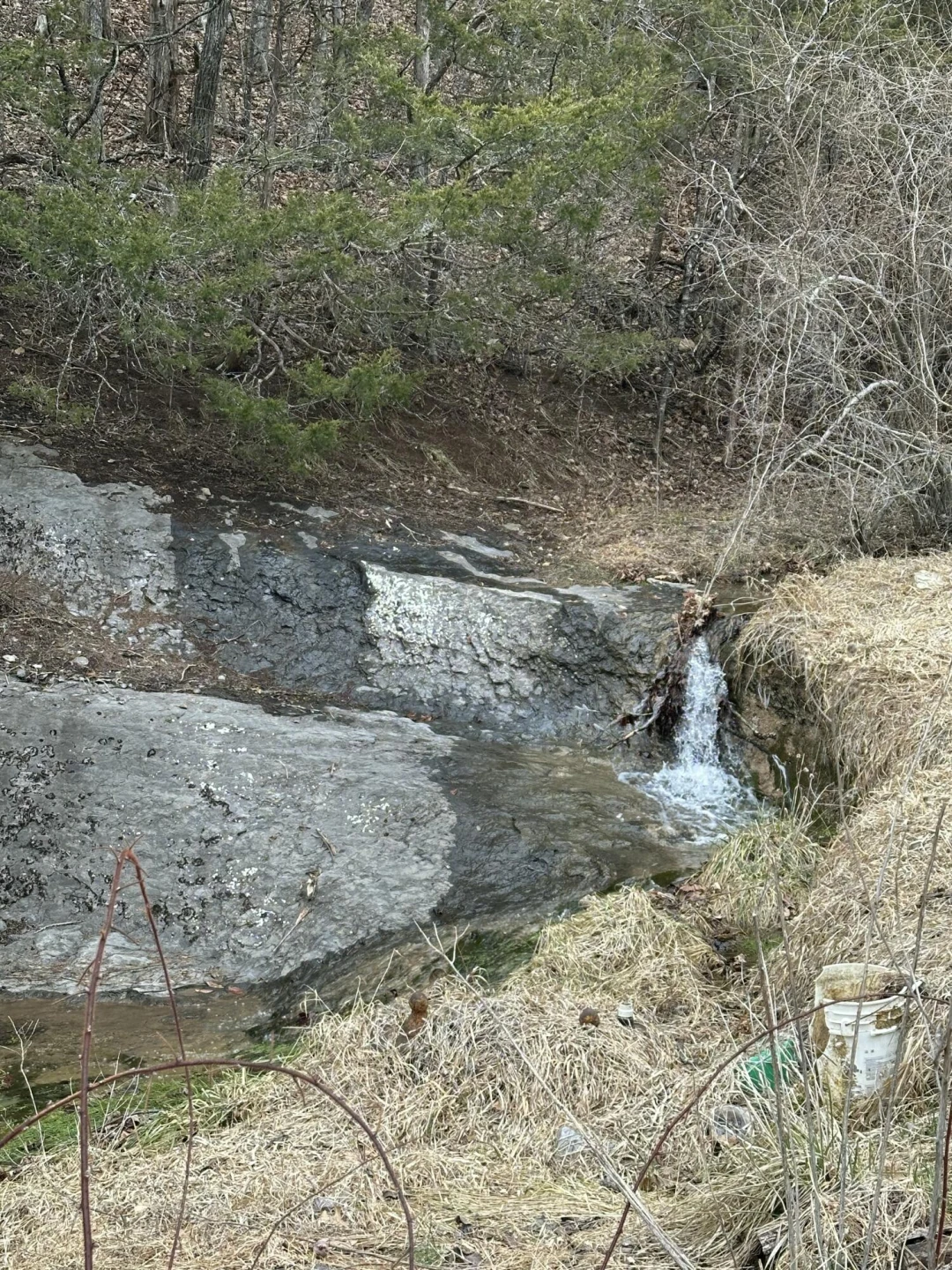 508 Sehorn Hollow Rd - Photo 3