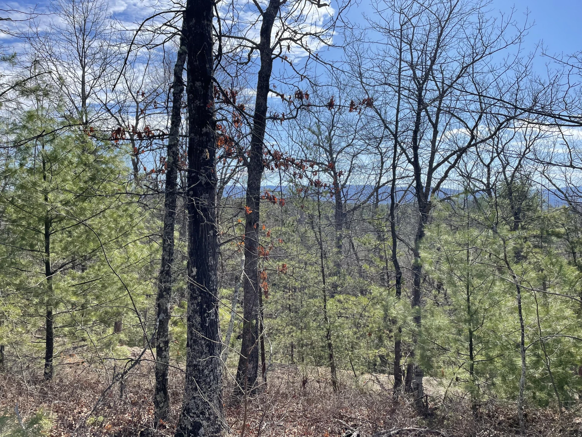 TBD Game Trail Way