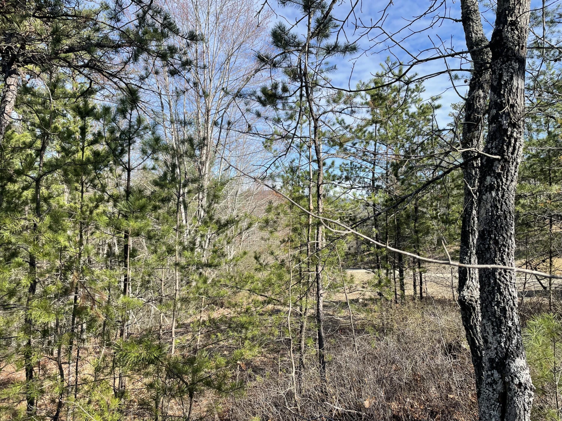 TBD Game Trail Way - Photo 2