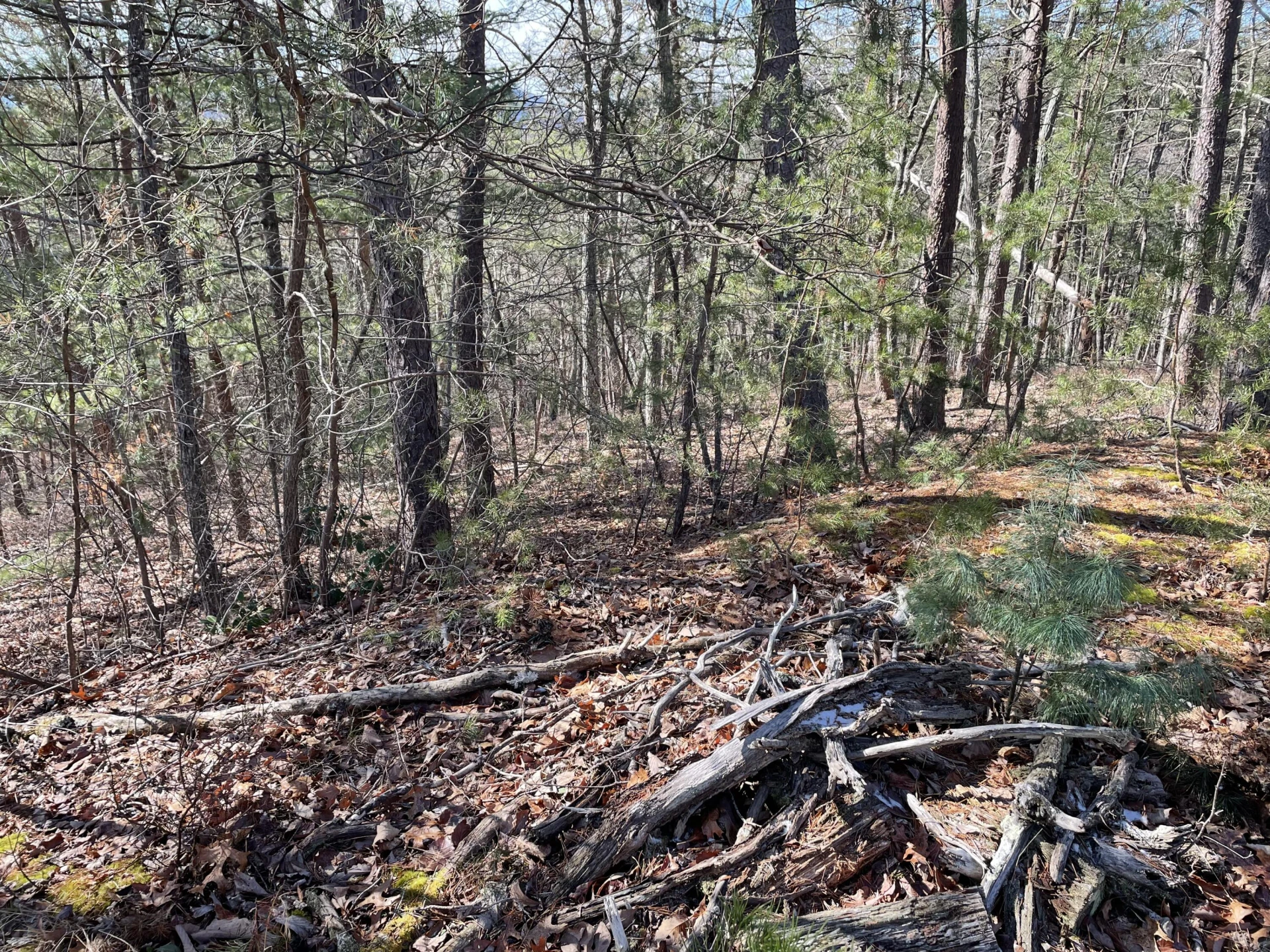 TBD Game Trail Way - Photo 3