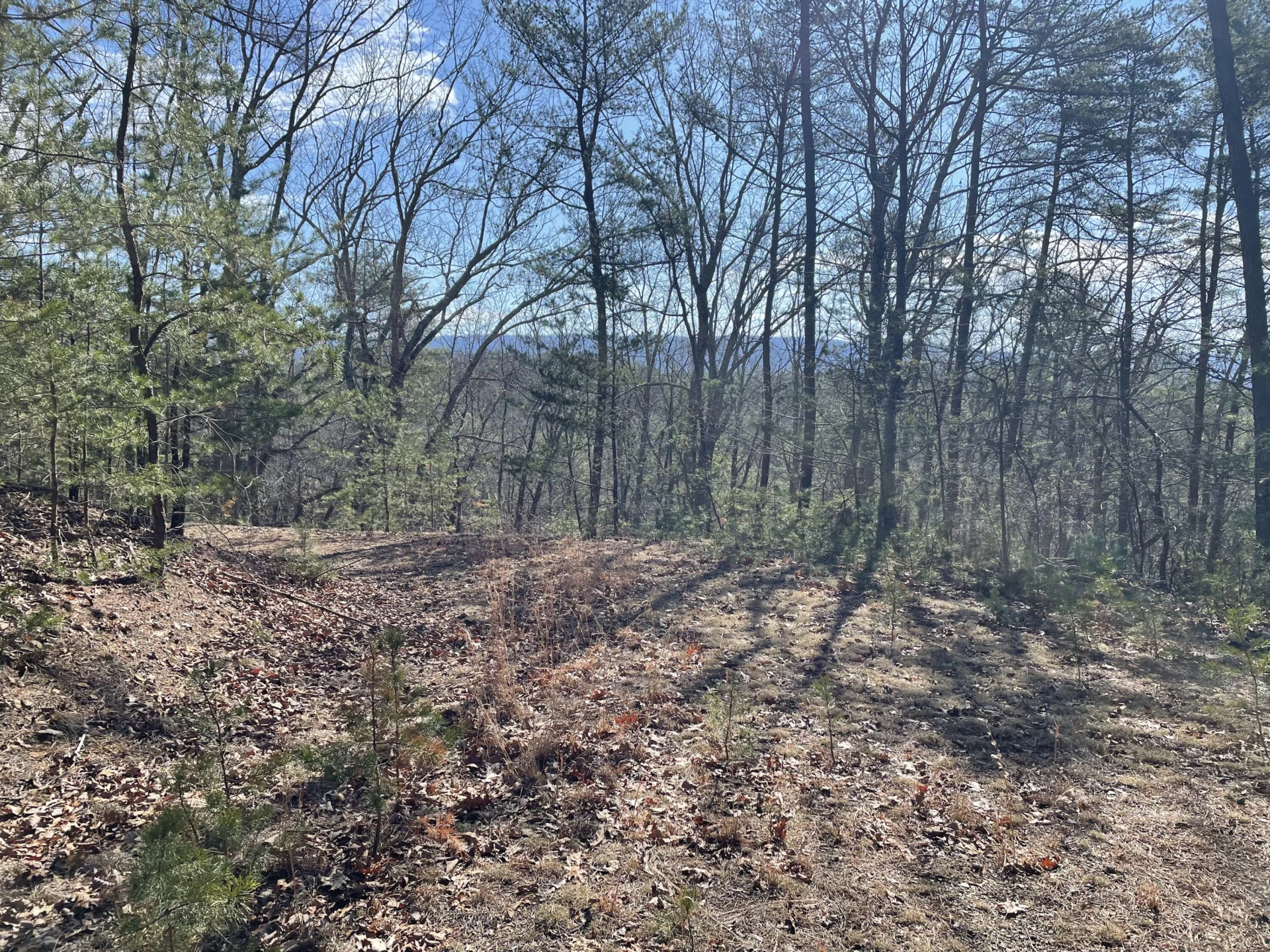 TBD Game Trail Way - Photo 4