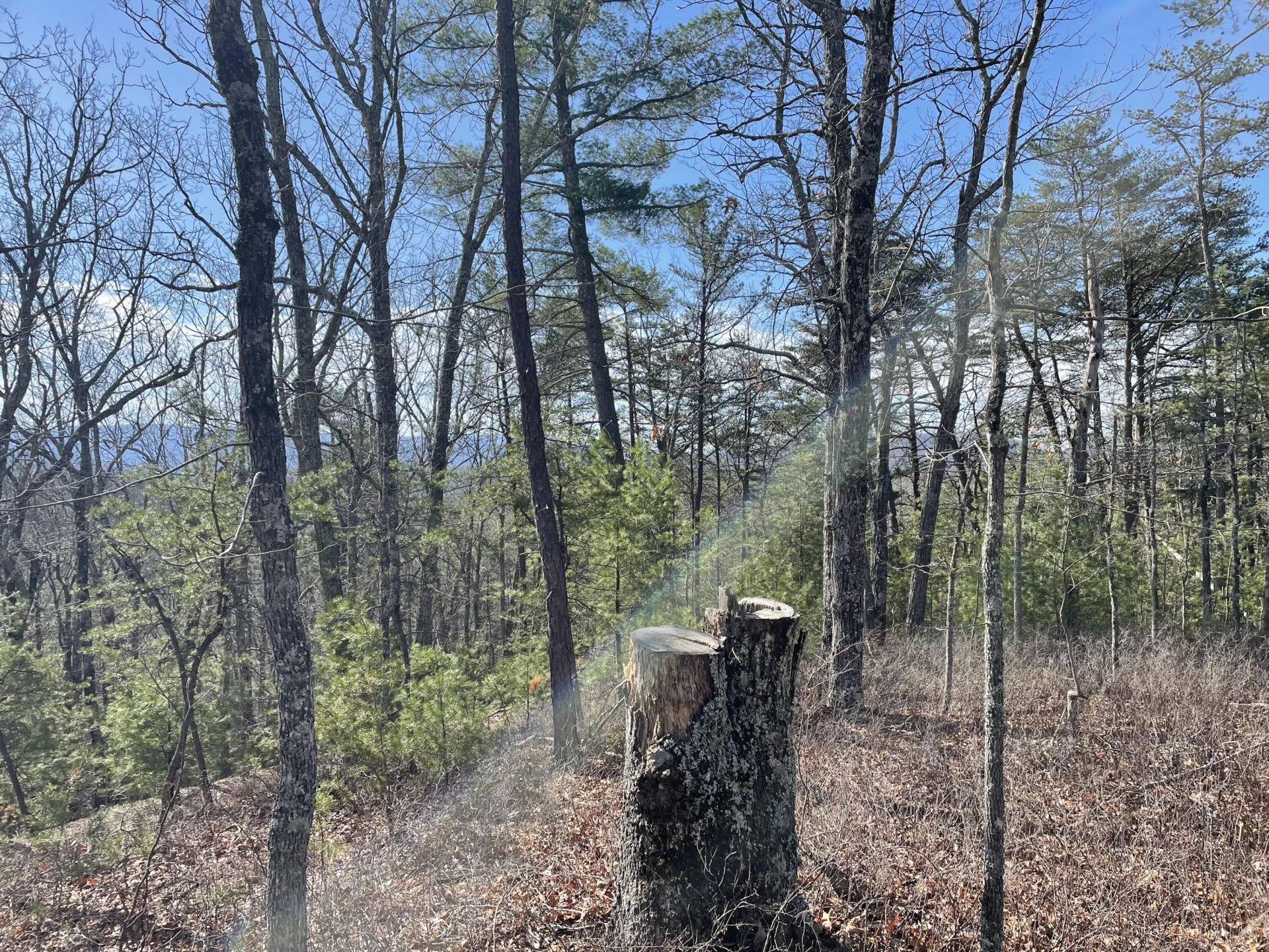 TBD Game Trail Way - Photo 8