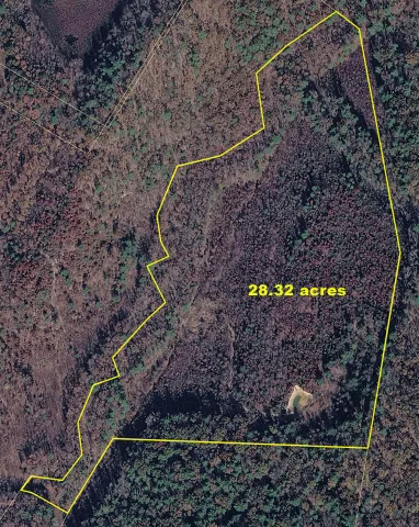 4600 Green Forest Ave, Buena Vista, VA, 24416
