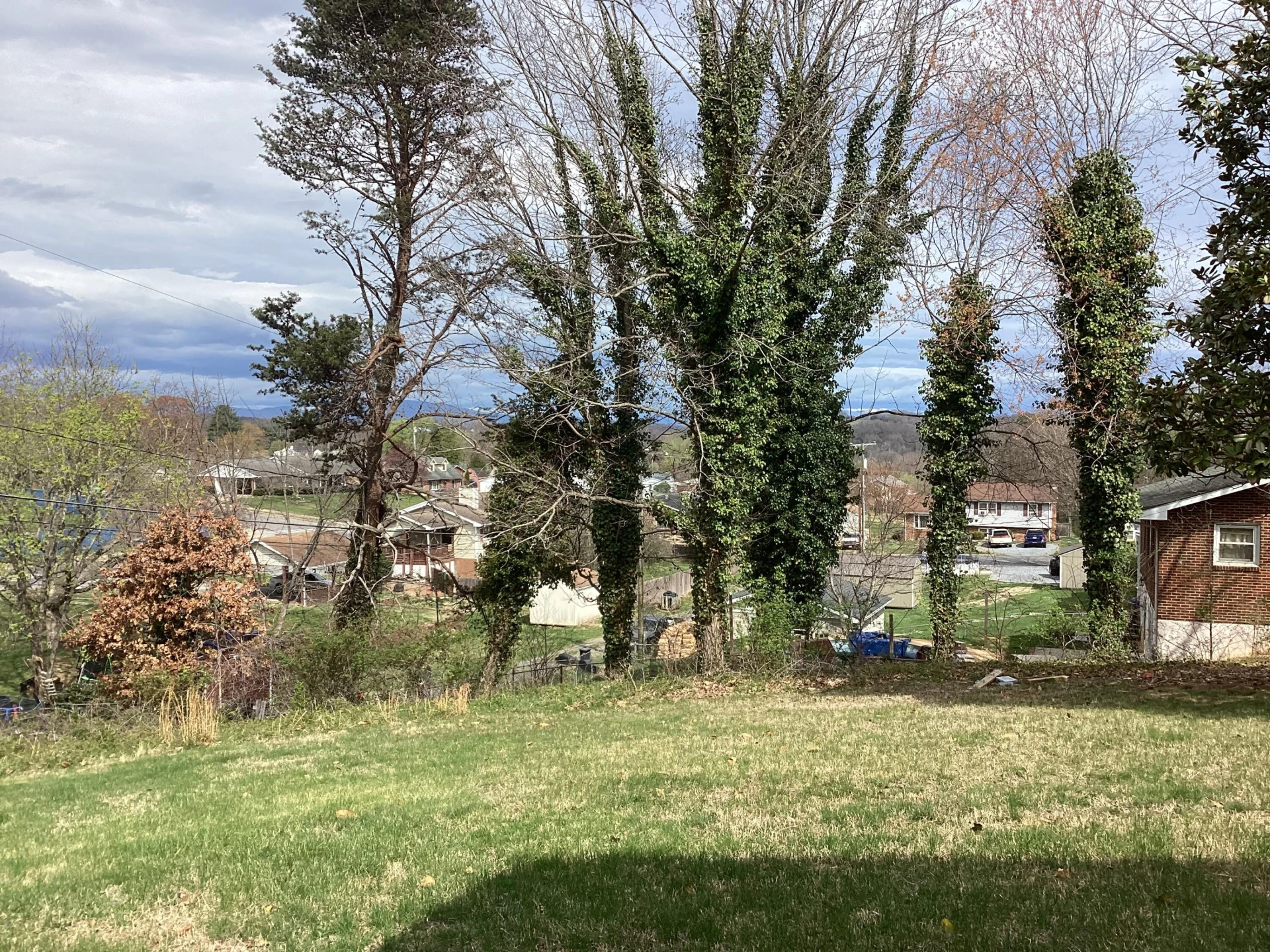 105 Poplar Ave - Photo 28