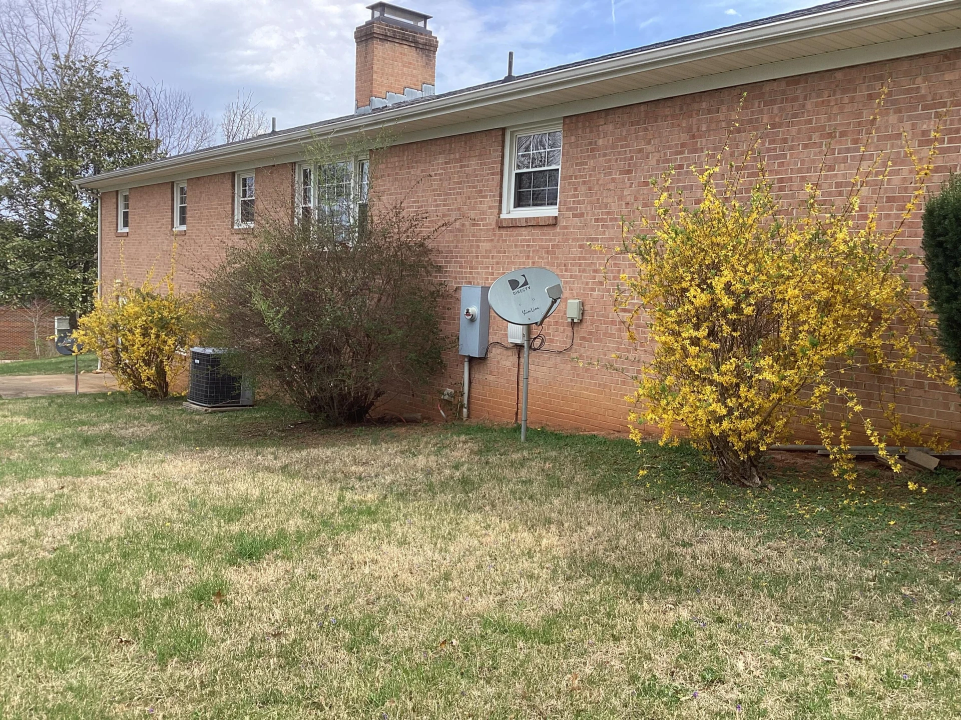 105 Poplar Ave - Photo 65