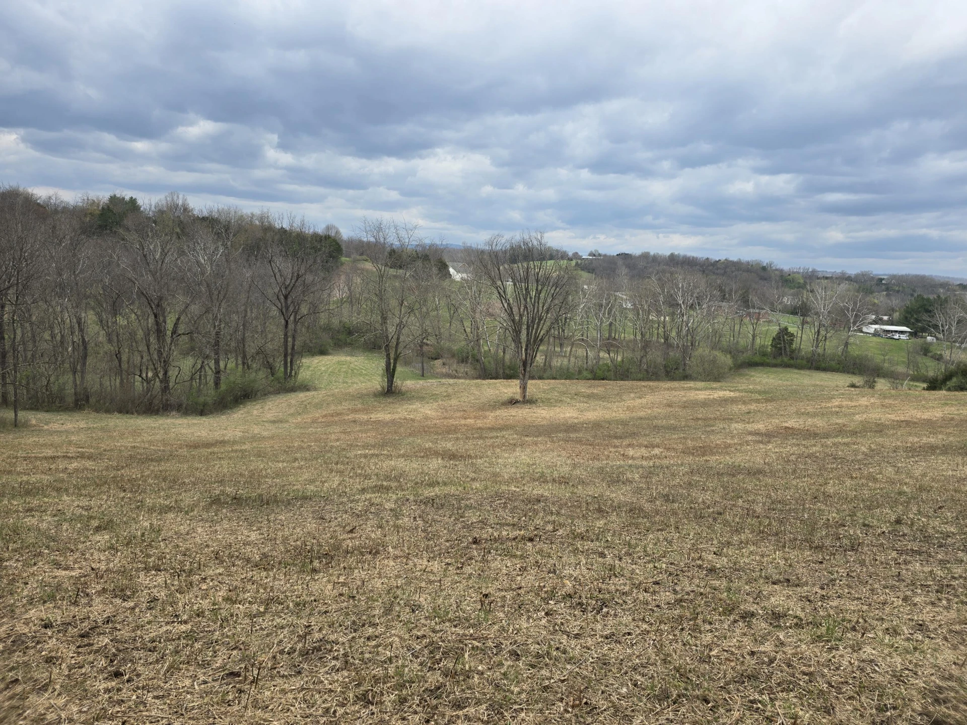 12106 Lee Highway - Photo 35