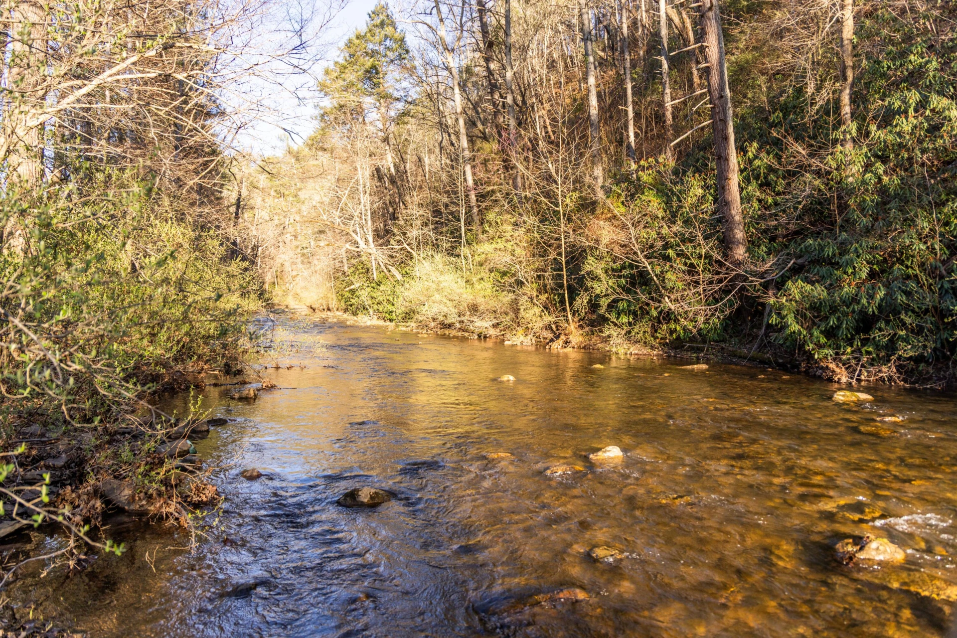 4908 Longdale Furnace Rd - Photo 12