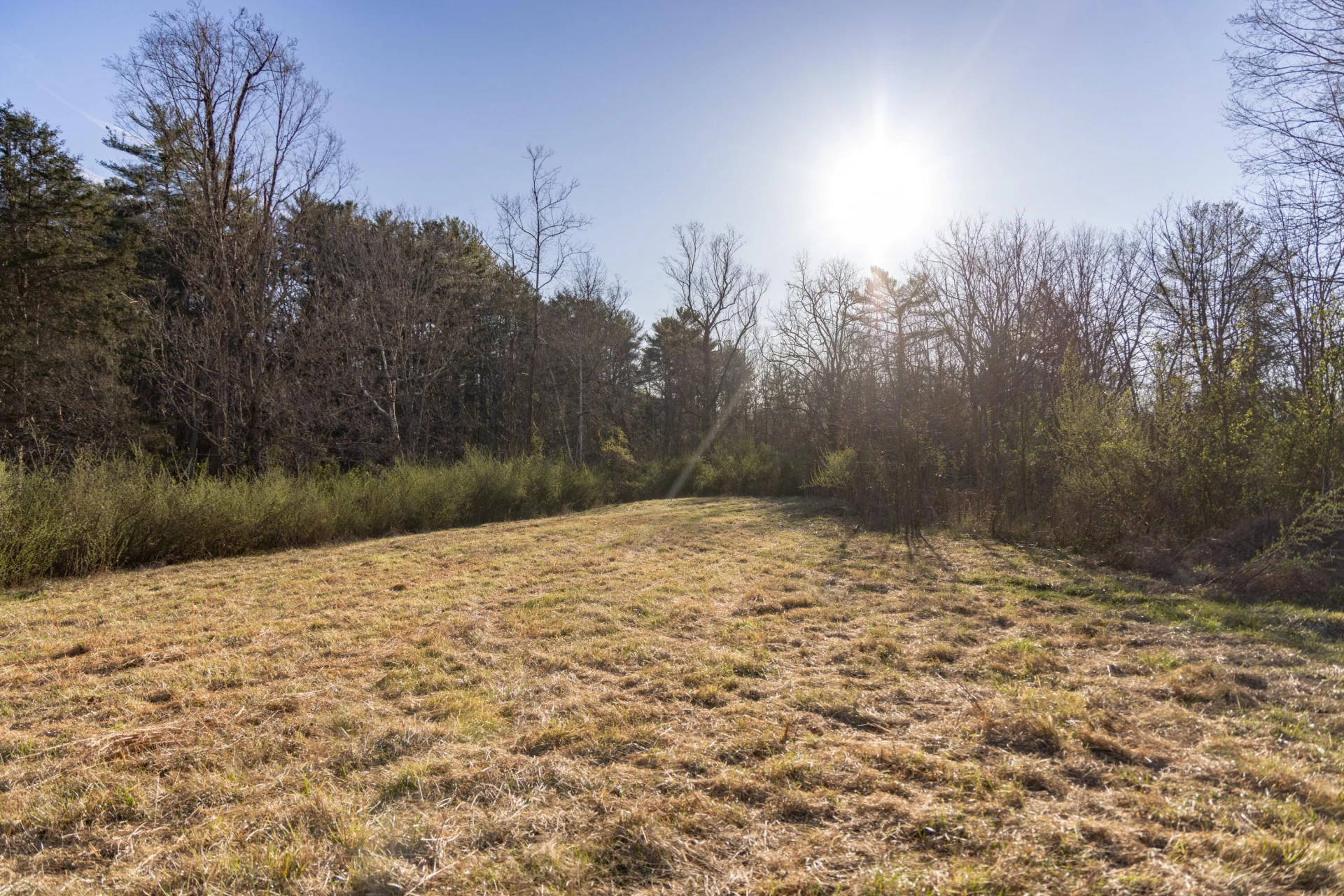 4908 Longdale Furnace Rd - Photo 45