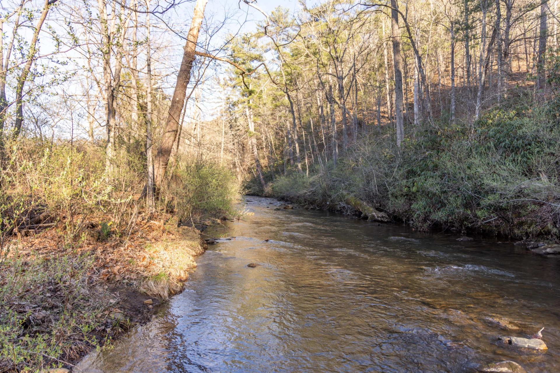 4908 Longdale Furnace Rd - Photo 48