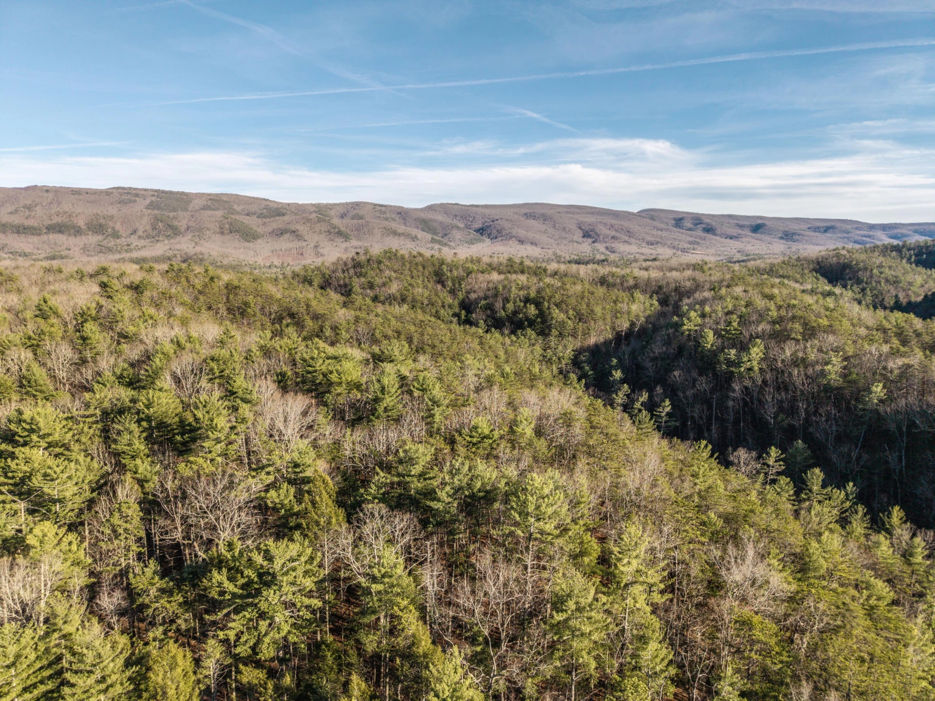 4908 Longdale Furnace Rd - Photo 54