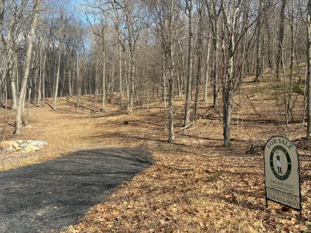 Lot #101 Sheep Meadow, Hot Springs, VA, 24445