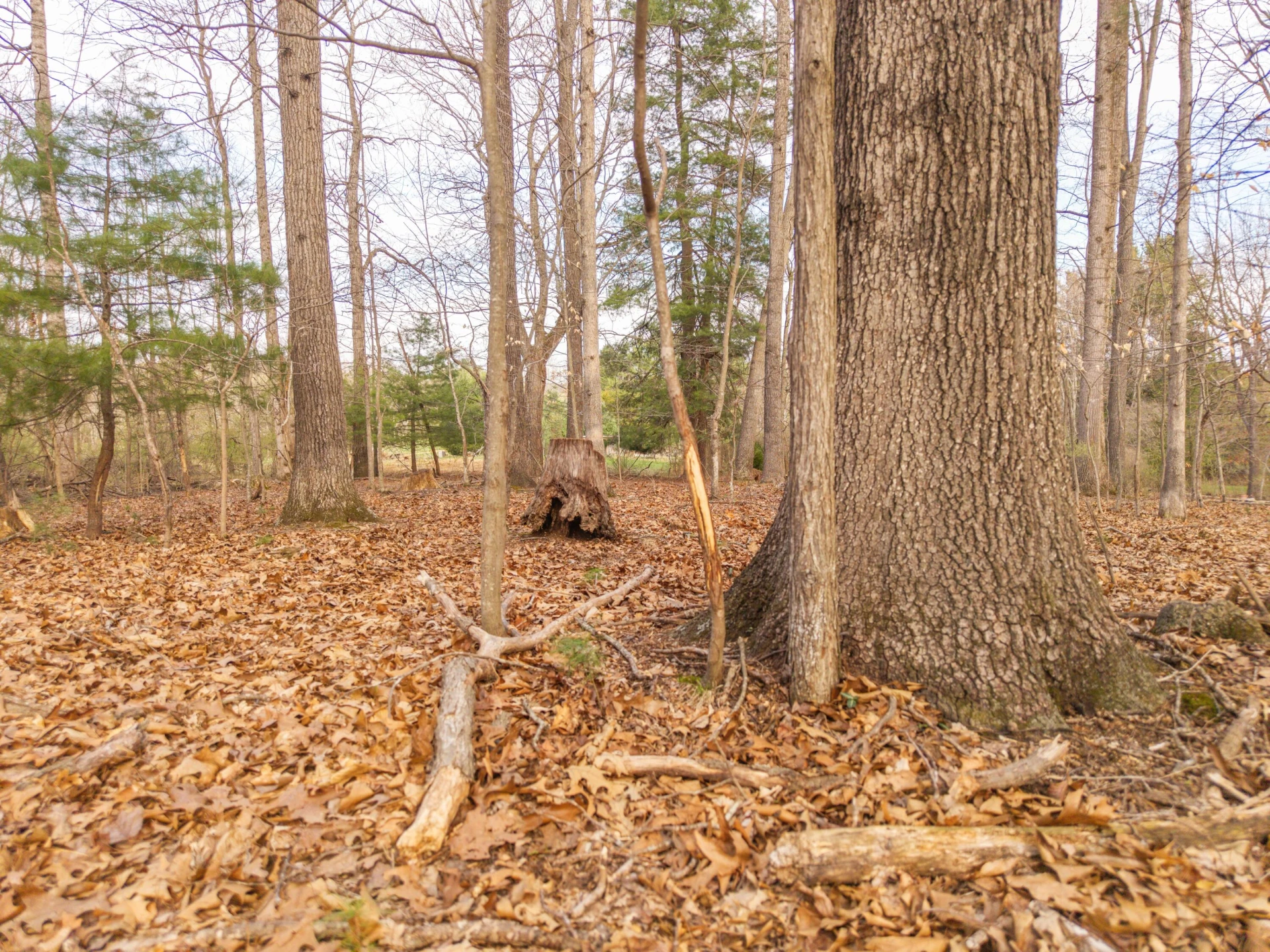 7598 N LEE Highway - Photo 11