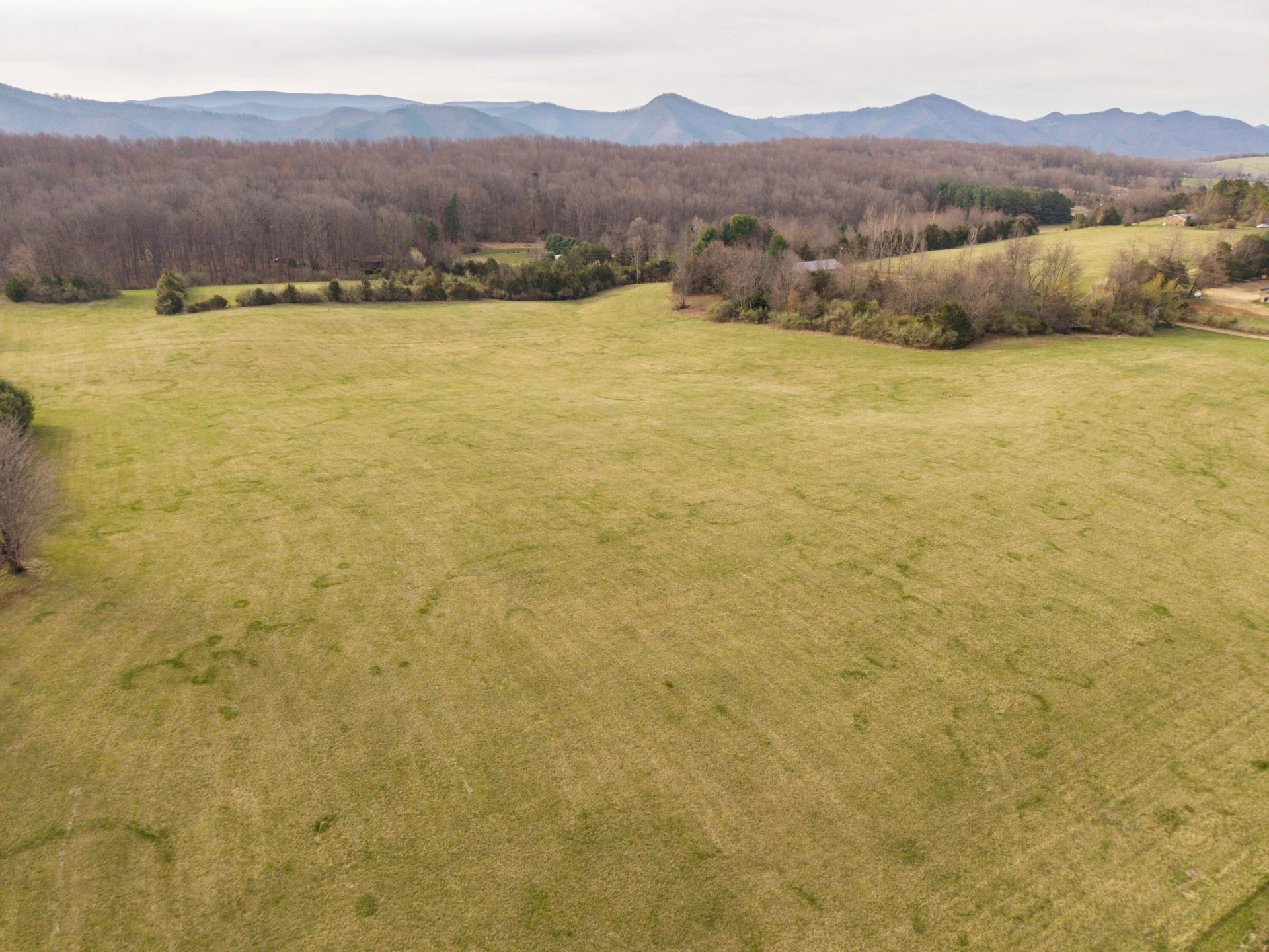 7598 N LEE Highway - Photo 12