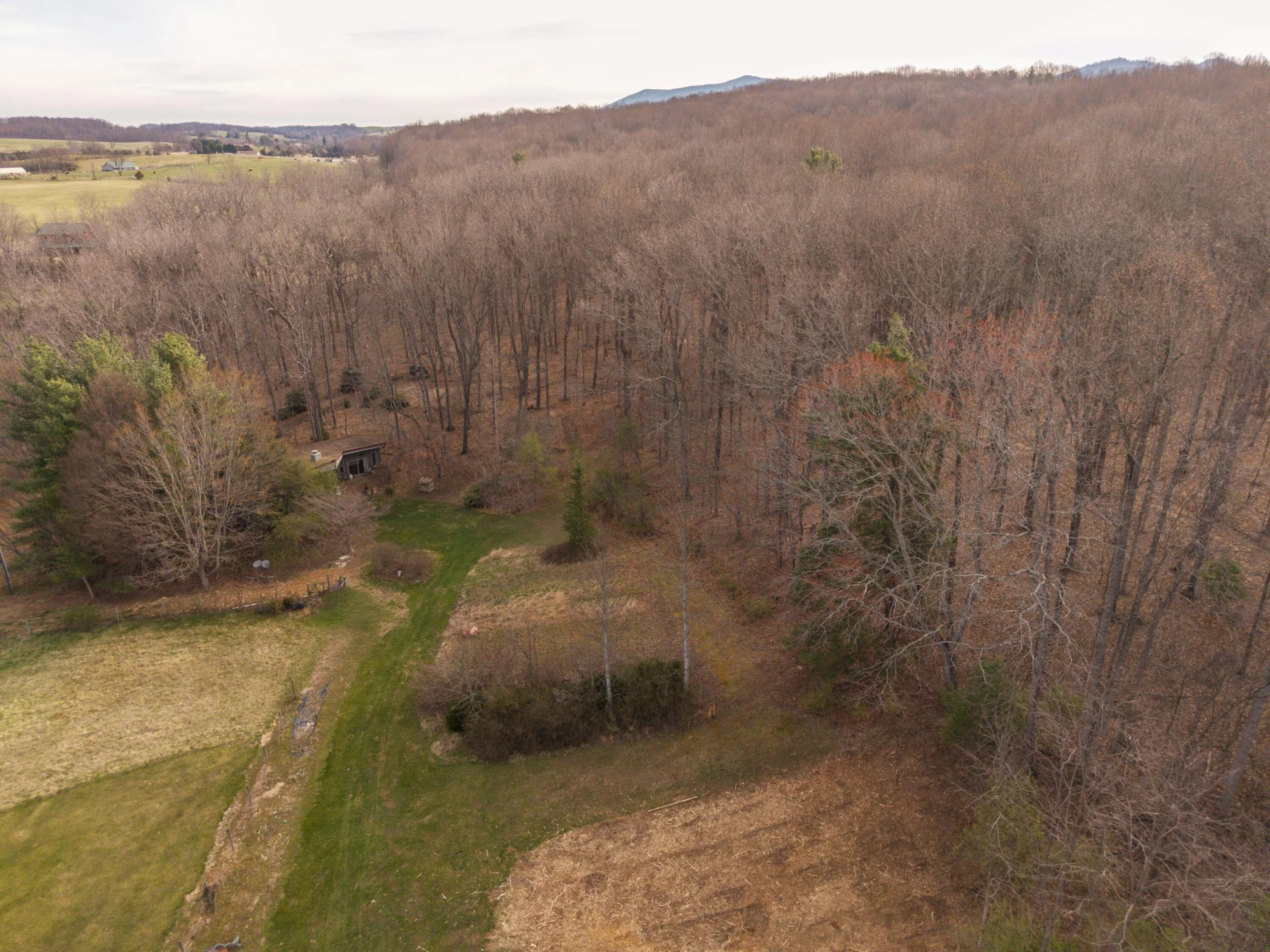 7598 N LEE Highway - Photo 47