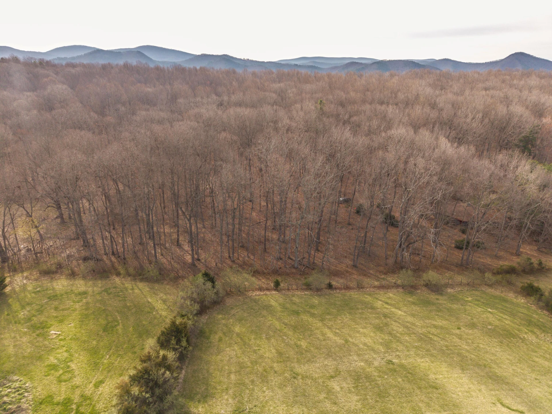 7598 N LEE Highway - Photo 50